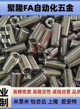 LVWM/LVFW12/16/20/24/30-10/15/20/25/30/35/40调整螺丝PAF12/02