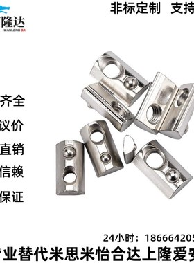 铝合金型材用  HNTP5/6/8-3-4-5-6-8后装螺母弹簧型