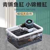 古法简单造景套餐 鱼缸 饲养容器匠鱼青鳉鱼盆现货 鱼盆 观背青鳉