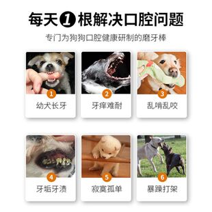 速发狗狗零食磨牙棒狗幼犬三个月小狗比熊泰迪拉布拉多牛皮耐咬狗