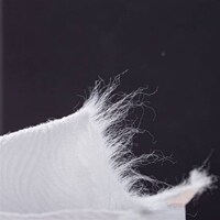 樓尚棉柔巾純棉高品質(zhì)洗臉巾一次性洗面擦臉男女潔面高品質(zhì)正品