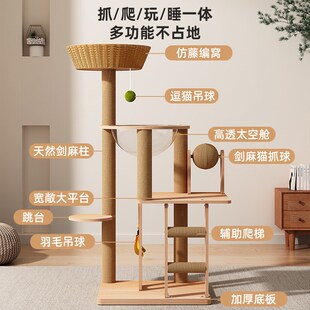 猫爬架猫窝猫树一体藤编实木猫架夏天季小型不占地太空舱猫玩具
