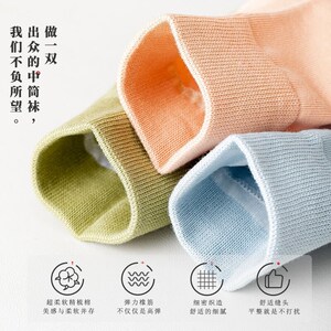 现货春秋短筒袜子女薄款纯棉无骨抗菌抗起球马卡龙乐福鞋女袜低腰