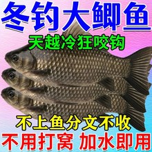 【3秒咬钩】主攻鲫鱼饵料 野钓 专用秋季窝料黑坑鲫鱼散炮饵料