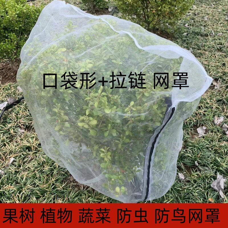 杨梅网罩莲雾蓝莓网嘉宝果树防虫网防鸟用网樱桃网蚊帐蔬菜加厚40