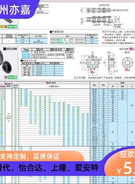 SP40B BSP40B SSP40B9 10 11 12 13 14 15-17-18-N/S 链轮