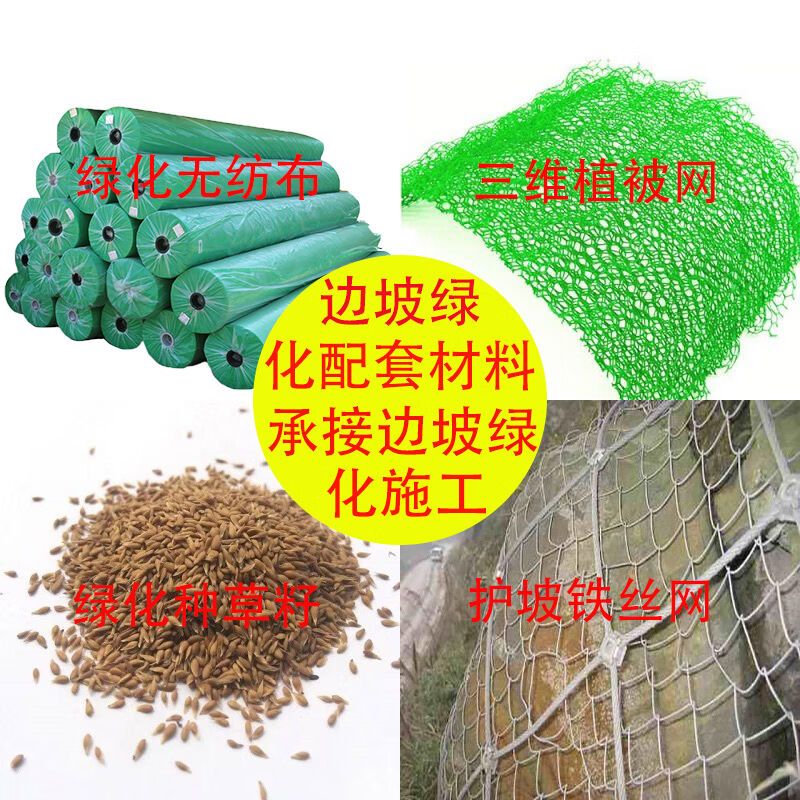 小速公路石孔护坡高场围栏钢丝网镀锌勾花网铁丝网边坡绿化防护坡