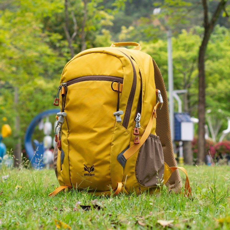 户外徒步背包20升轻便小双肩包2024新款轻量化短途旅行防水登山女