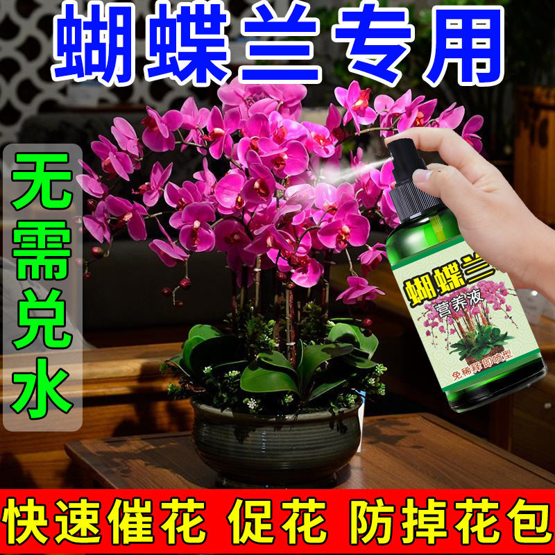 蝴蝶兰肥料专用肥促开花黄叶烂根酸性植物叶面喷施生根药水营养液