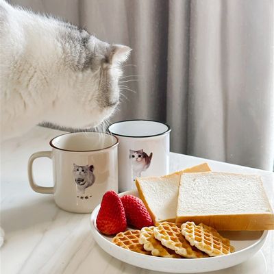 【情侣款】泡芙泡饭情侣可爱猫猫杯子陶瓷杯仿搪瓷定制杯