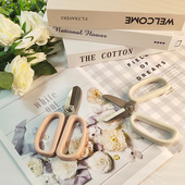 加厚不锈钢花园园艺花艺枝剪鲜花剪插花修枝剪剪子剪花枝专用工具