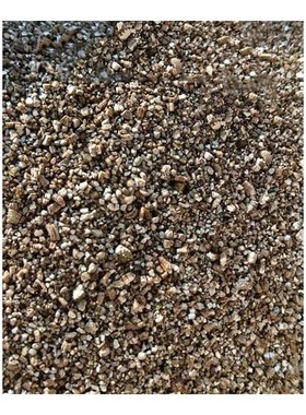 2020  Nutrient Gardening Vermiculite Fleshier Plant Bonsai F