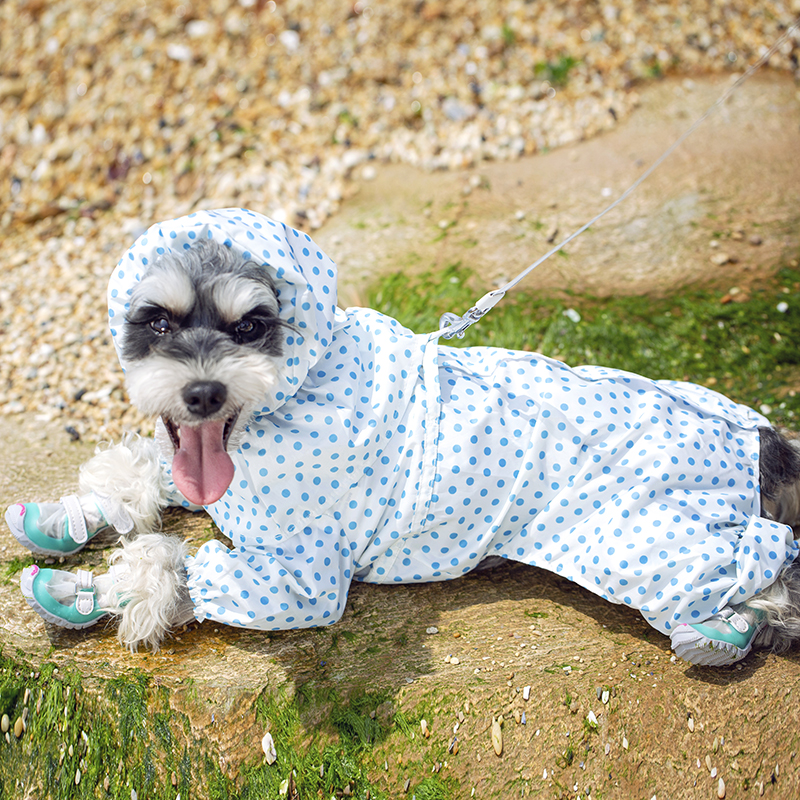 DJJ狗鞋 泰迪狗狗雨鞋宠物狗小型犬防水F防滑fokwow福旺狗鞋不掉