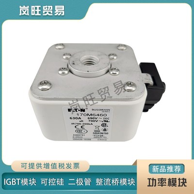 原装保险丝快速熔断器170M6435/6458/6459/6460/6461/6462/6463