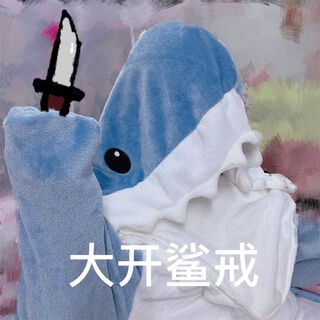 网红Shark sleeping bag sand sculpture summer thin adult sing