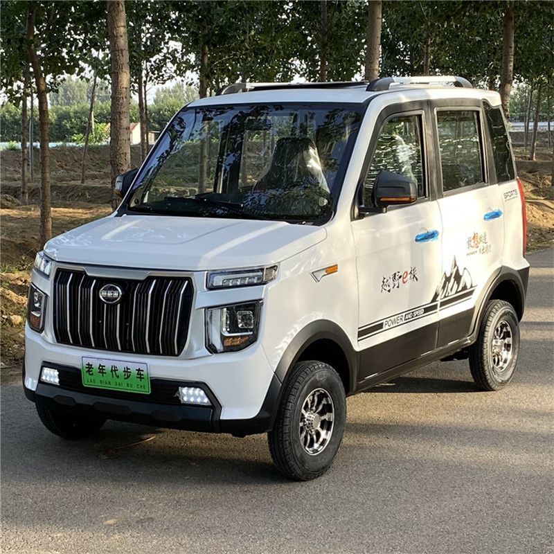 直销新能源电动汽车成人四轮车家用小型轿车油q电两用电瓶车老年