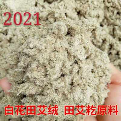 2023湛江农家野生艾草田艾 田艾绒 青团 艾糍 籺传统食品材料500g