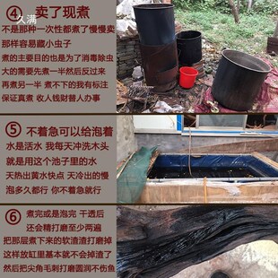 树洞木桩树脂玄关创意鱼缸造景沉木树桩摆件树根拱桥晒台紫柚