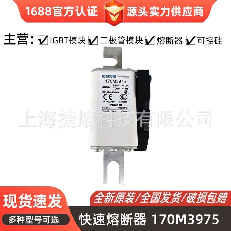 全新快速熔断器170M3975  170M4009 170M4010电子元器件 量大价优