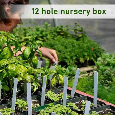 12-Holes Seedling-Trays Flower-Box Nursery-Pot Propag Plant
