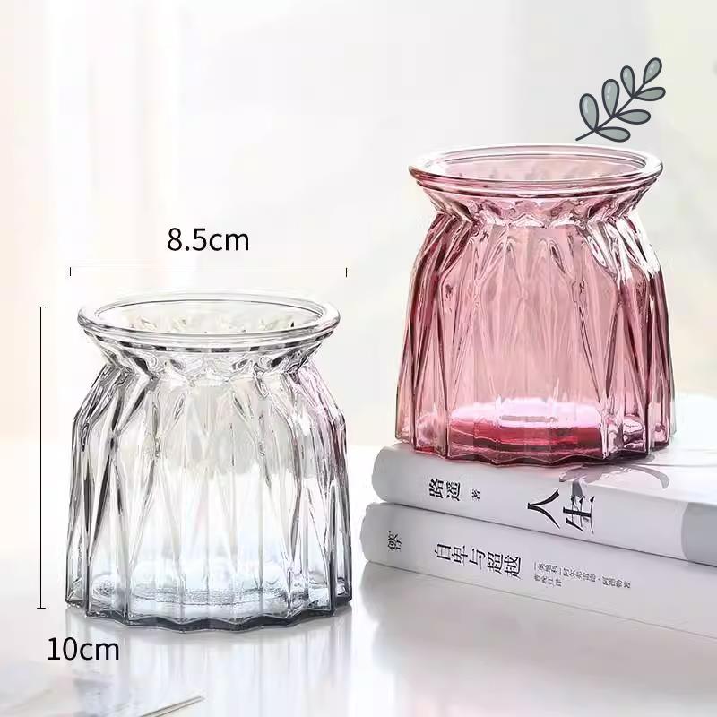 佛手柑花瓶家用水培瓶植物透明宽口玻璃容器黄金葛盆养缸水培摆件