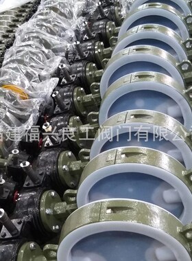 铸钢 铸铁 不锈钢 对夹涡s轮手柄衬氟蝶阀D371F46-16 DN50