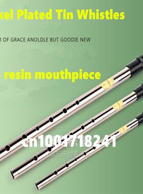 Irish Whistle Flute Feadog C D Key Tin Whistle 6 Hole Clarin