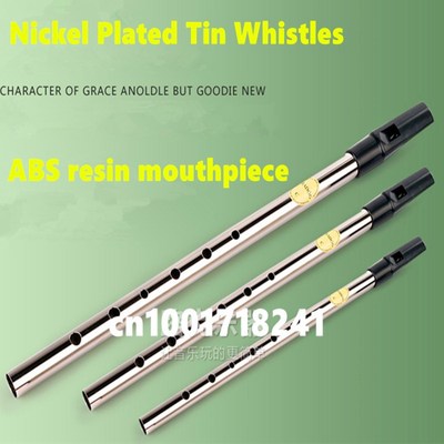 Irish Whistle Flute Feadog C D Key Tin Whistle 6 Hole Clarin