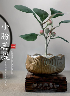 适合客厅摆放的花客厅落地式绿植室内大盆栽真花客厅景Y真花家里