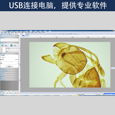 包邮 40X-2500X生物显微镜 200万像素11.6寸屏畜牧水产养殖显微镜