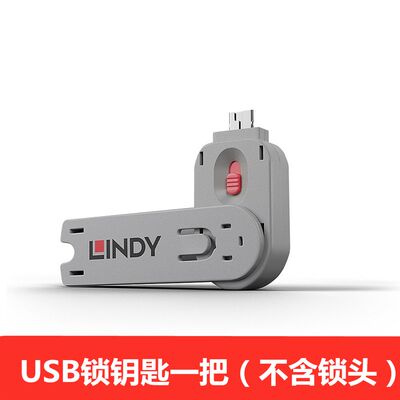 德国LINDY电脑usb锁笔记本资料防盗U盘电脑通用钥匙不含锁头