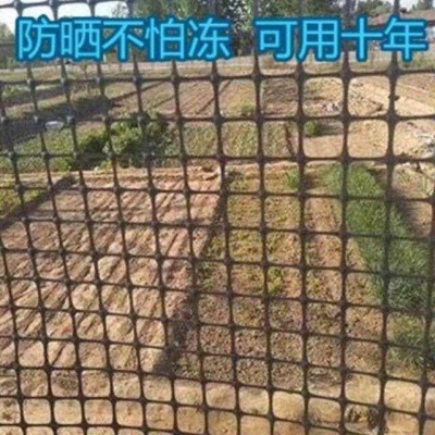 塑料墊網(wǎng)攔雞米地墊陽(yáng)臺(tái)雞網(wǎng)平網(wǎng)養(yǎng)雞塑膠網(wǎng)山雞50長(zhǎng)臺(tái)塑網(wǎng)攔