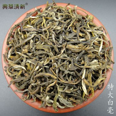 2023年新花茶浓香型茉莉花茶叶大白毫茉莉白毫花茶厂家