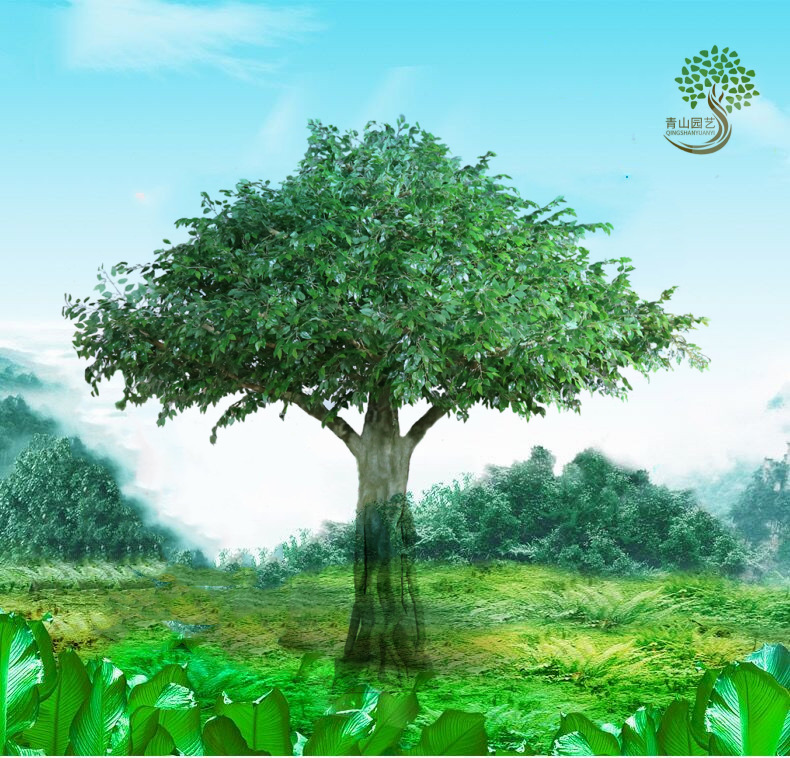 仿真白色榕树酒店商场楼盘工程景区婚庆影视场所道具假树