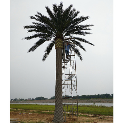 仿真植物海枣树公司定制仿真海藻树假树仿真度高年不断杆