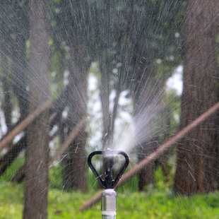 塑料蝶形喷头园林绿化洒水器摇臂喷头自动浇花器 4分塑料雨状喷头