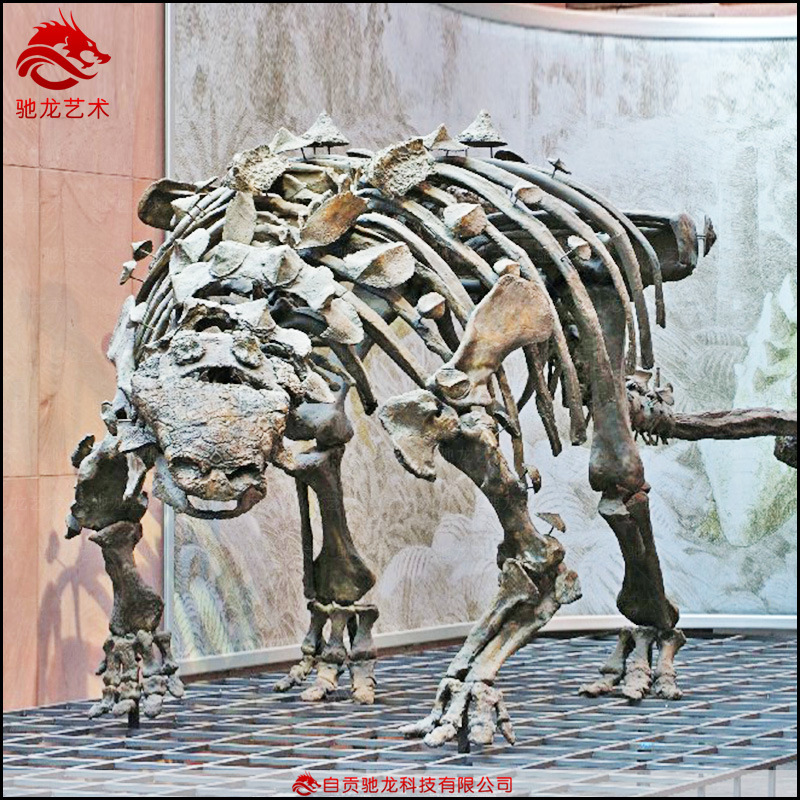 仿真甲龙骨架化石米大型灭绝生物骨架模型定制商场美陈摆件