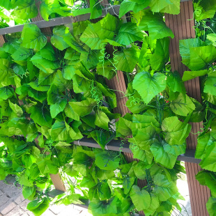 花藤绿叶装 饰仿真葡萄叶假树叶植物藤条塑料藤蔓缠绕吊顶假花叶子