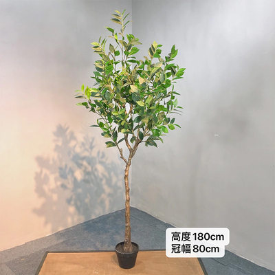 真球形月桂盆栽室内家居桂花树仿真绿植小树盆栽仿真月桂树