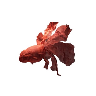 不锈钢镂空悬挂鲸鱼雕塑网格海豚景观空中吊饰金鱼艺术装置摆件