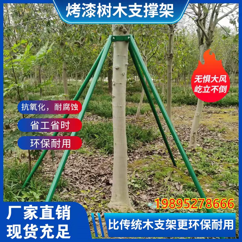 钢管树木支撑架树支撑固定器树木支撑杆树木固定支架大树支撑杆