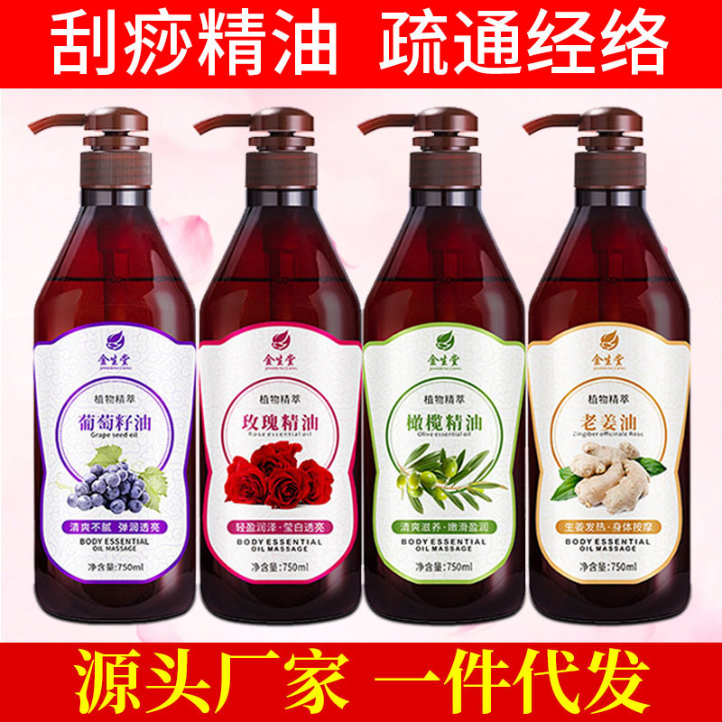 按摩精油通经络美容院全身用精油玫瑰橄榄精油大容量ml老姜油