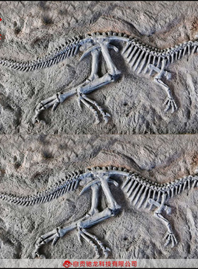 仿真恐龙迅猛龙翼手龙玻璃钢骨架化石室内外儿童沙坑考古恐龙埋藏