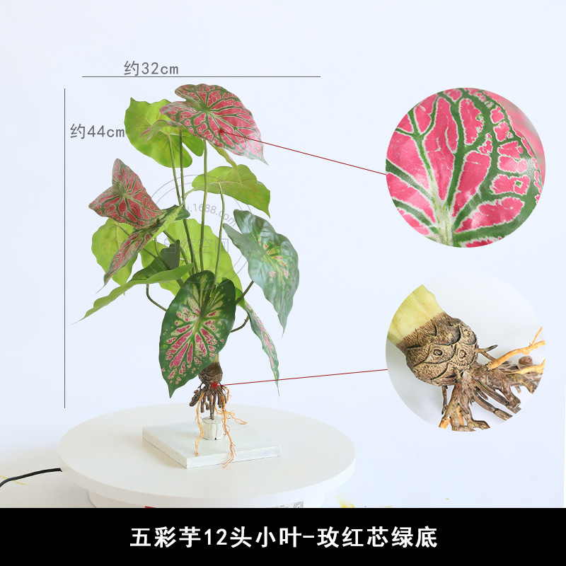 仿真彩叶芋花束绿叶植物墙五彩芋假花地堆景观假树叶绿植仿真花-封面