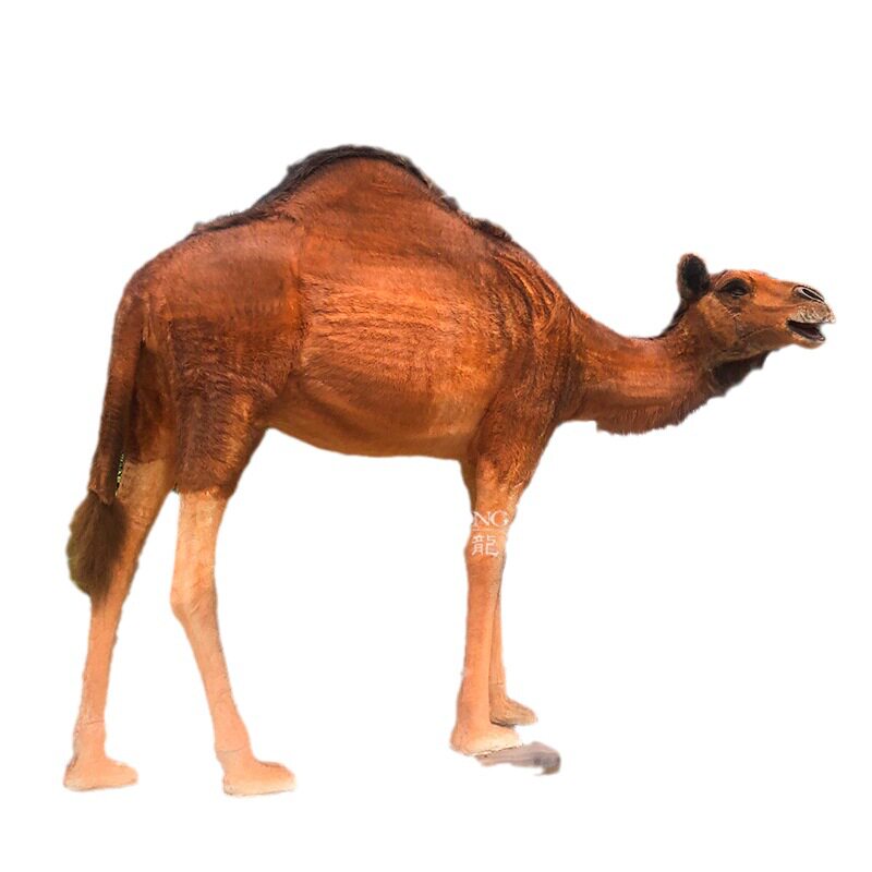 机械模型电动设计仿真动物大型工厂不夜城中庭新款创意摆件