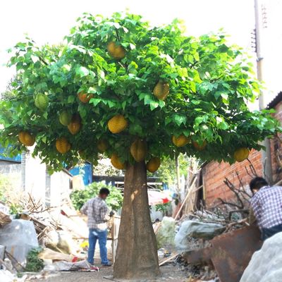 大型室外仿真榴莲树波罗蜜树绿植装饰景观假菠萝蜜果树人造榴莲树