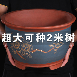 花盆2021特大号紫砂花盆，高花盆(高花盆)高筒陶瓷花盆处理大号