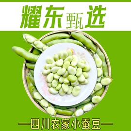 四川新鲜蚕豆农家自产小胡豆荷兰豆罗汉豆当季新货新鲜蔬菜