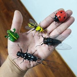 仿真昆虫子摆件青蛙七星瓢虫标本，蜜蜂模型蝉，动物工艺装饰拍摄道具