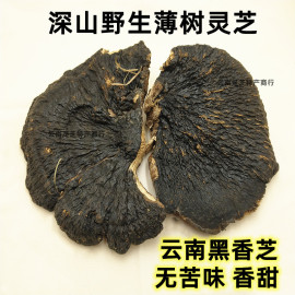 野生黑灵芝正宗野生云南薄盖树灵芝煲汤料紫灵芝片中药材山货500g